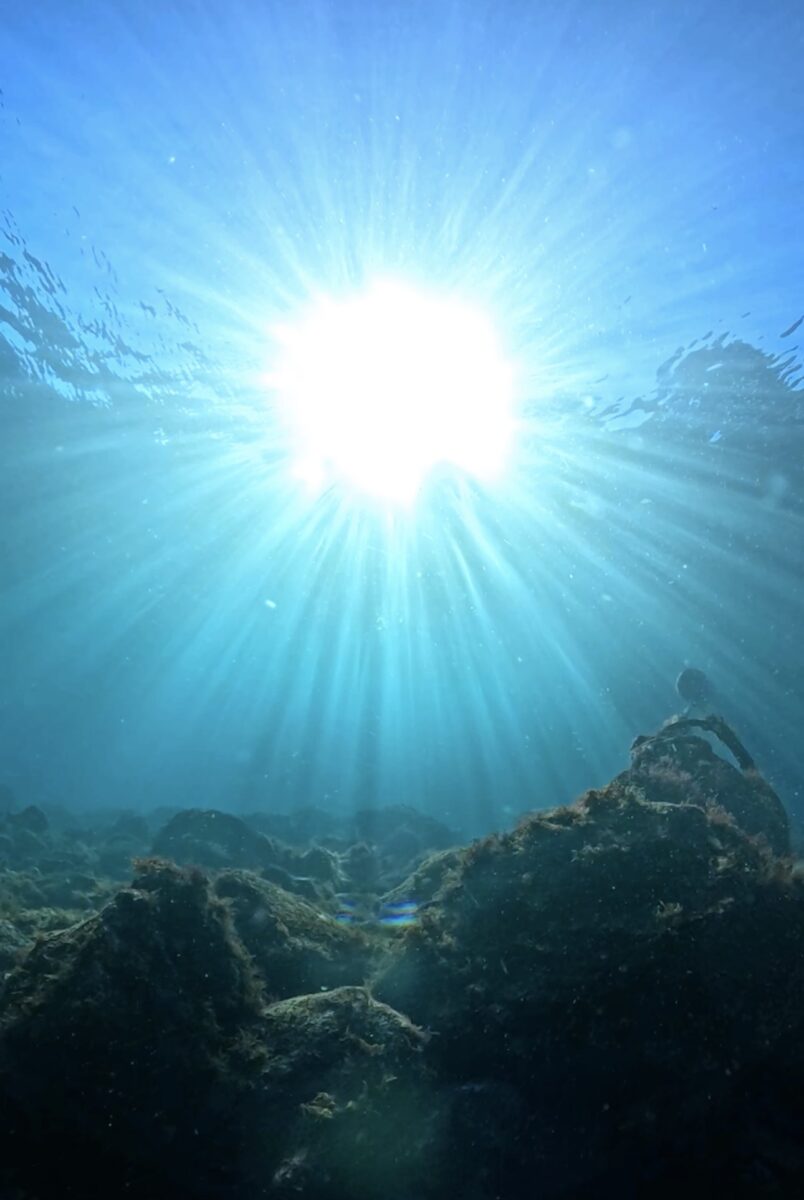 Namidea のんびりな週末🌞