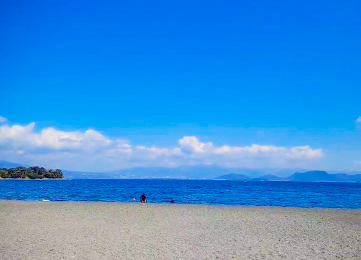 Namidea 3/12(木) 通常営業いたします！