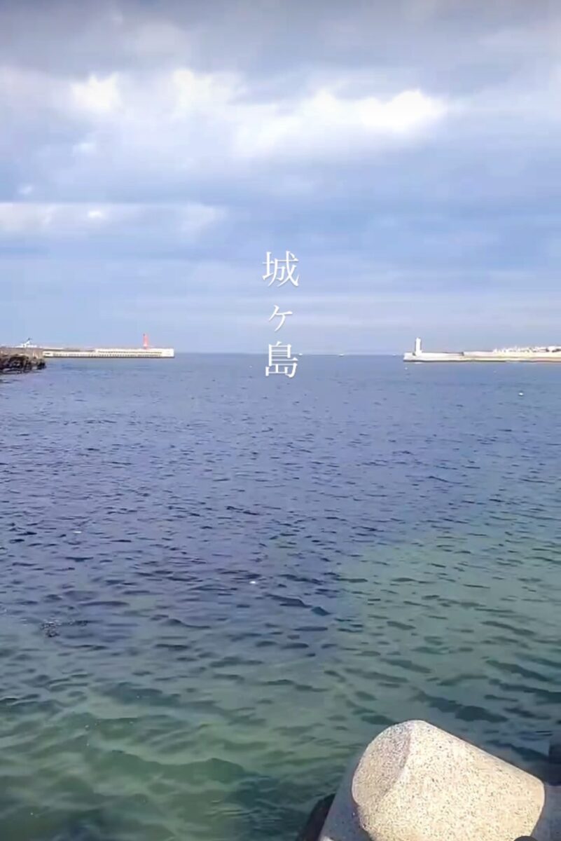 Namidea 3/18(水) 通常営業いたします！