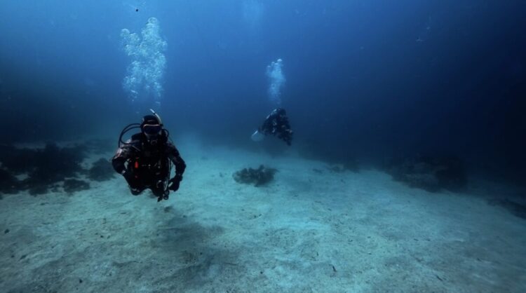 Namidea 連休最終日はおじさんぽで初島へ🌸