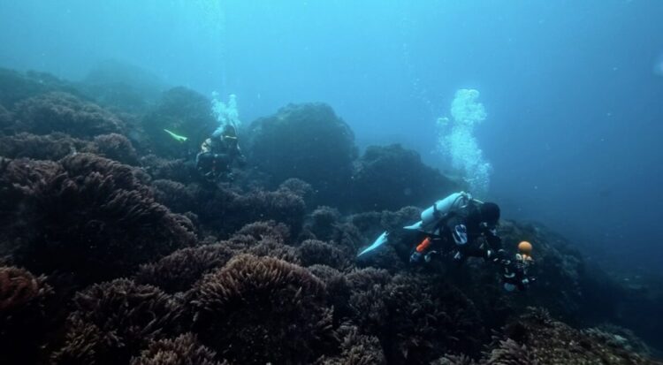 Namidea 連休最終日はおじさんぽで初島へ🌸