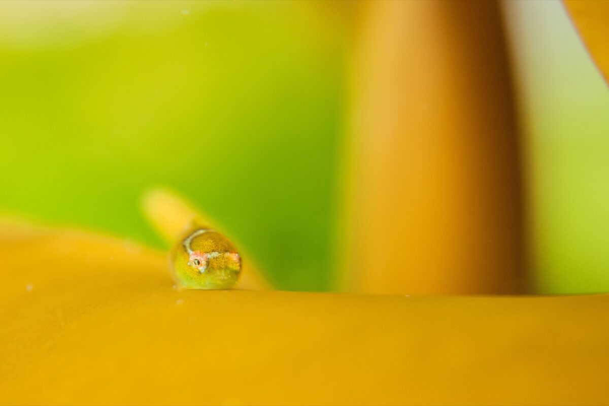 Namidea 3/15(日) 日曜時間営業いたします！