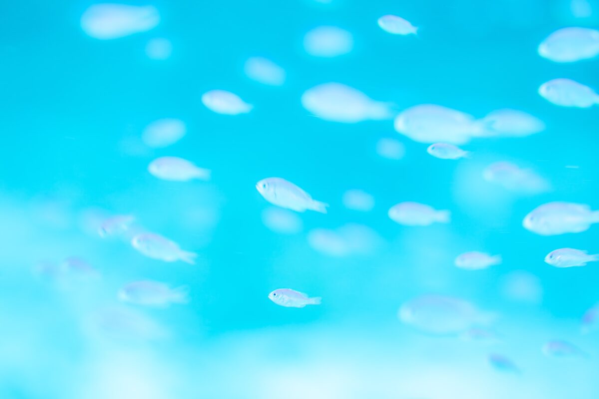 Namidea 3/6(金) 通常営業いたします！